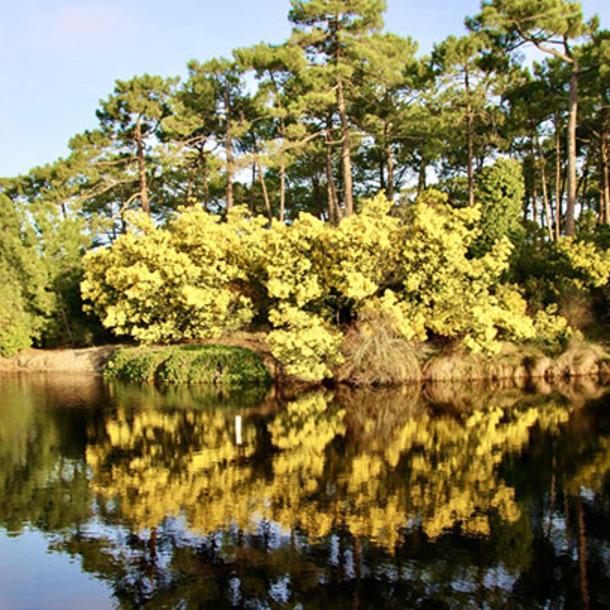 Découvrir Piraillan